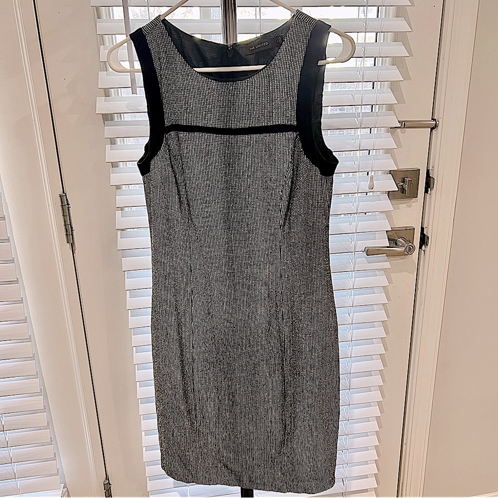 The Limited dress